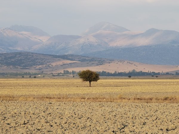 Quel pays est contre la Russie ?
